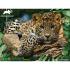 Puzzle 3D - Jaguar 100 kom 31x23cm Animal Planet ges