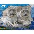 Puzzle 3D - Snježni leopard 100 kom 31x23cm Animal Planet ge